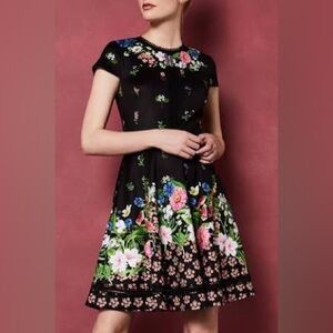 Ted baker  daissie Florence trim skater dress new sz 4